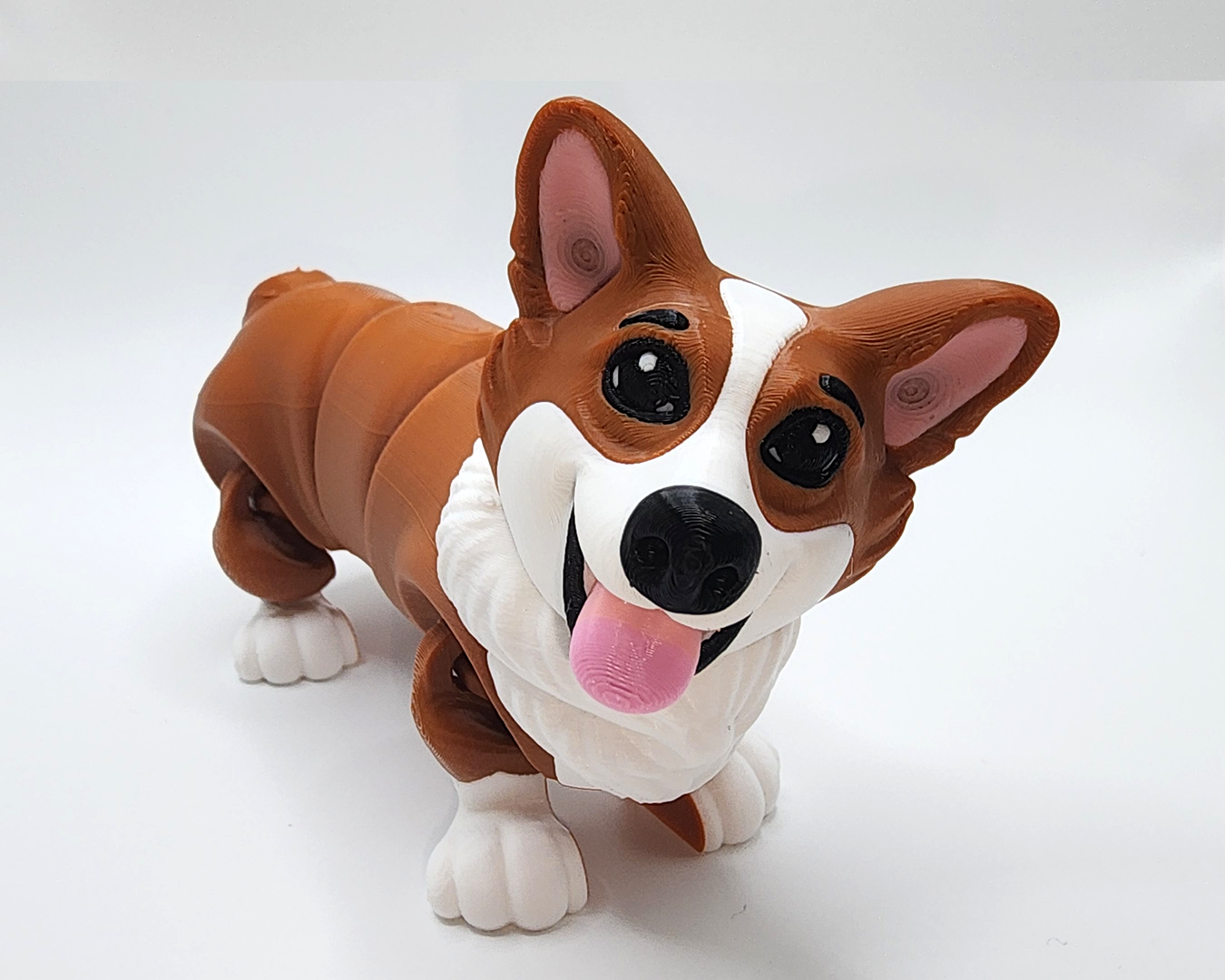 Corgi Canine Companions