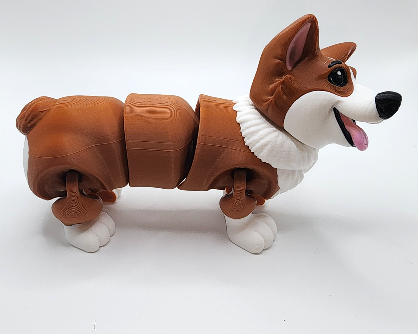 Corgi Canine Companions