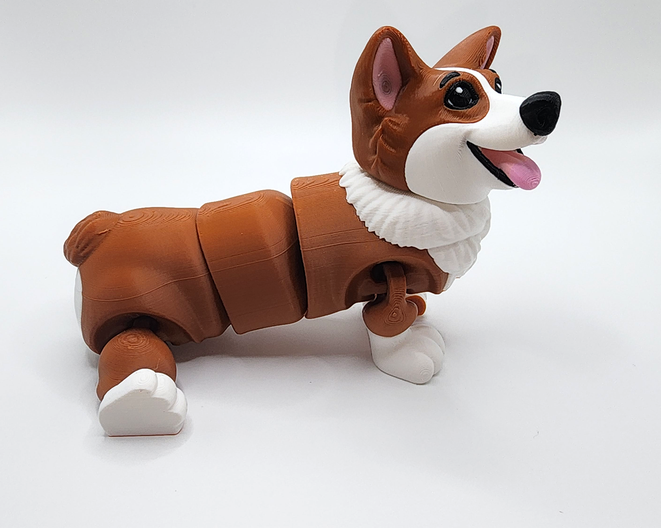 Corgi Canine Companions